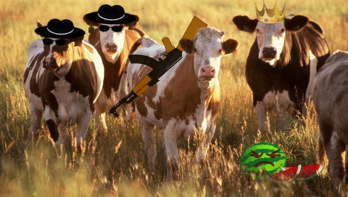 Mid-Week Politics - Killing Cows