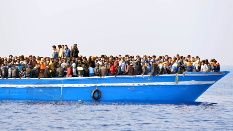 Illegal Immigration